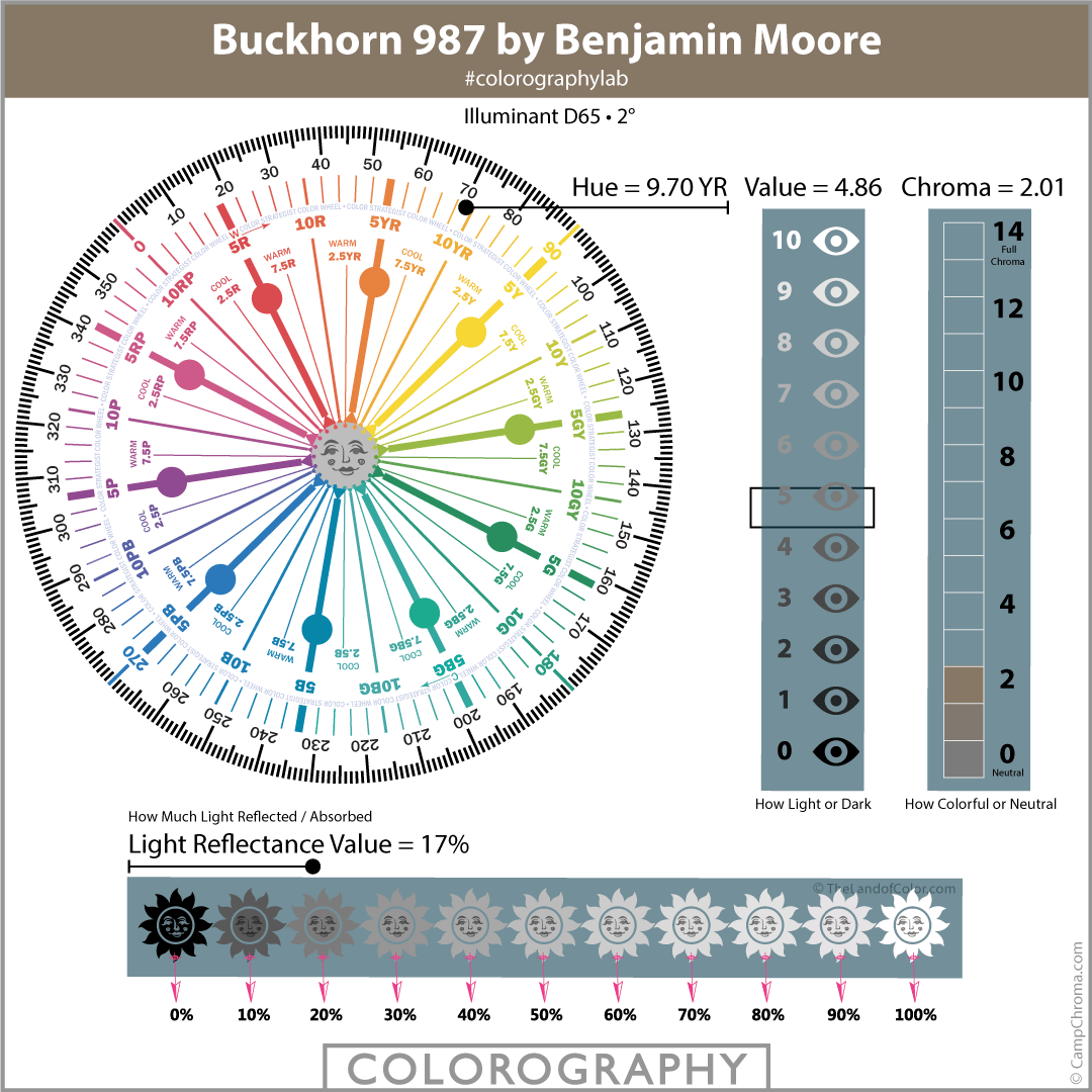 Expert SCIENTIFIC Color Review Of Buckhorn 987 By Benjamin Moore