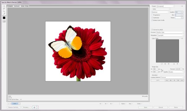CS4 Save for Web and Devices