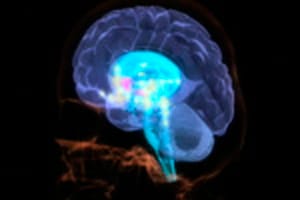 The Color Blog Big Brain