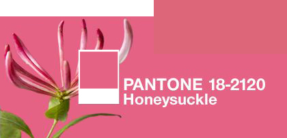 Pantone Honeysuckle and 1328 Deco Rose