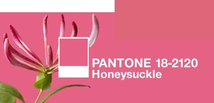 Pantone Honeysuckle and 1328 Deco Rose