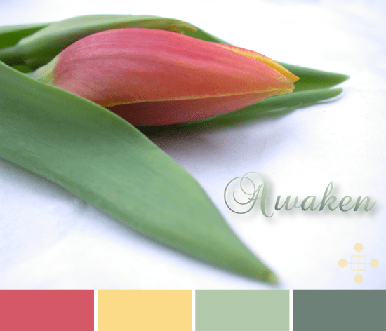 Paint Color Consultants Near Edmonds Wa Paint Color Consultants Near Edmonds Wa