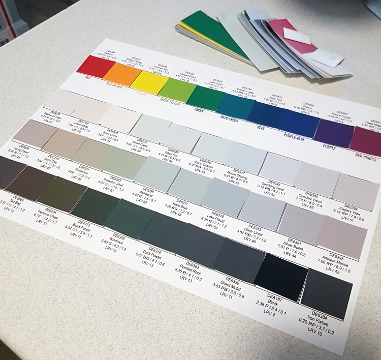 Camp Chroma Color Training