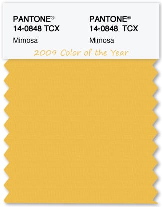 Color Swatch Pantone color of the year 2009 Mimosa from The Land of Color Color Swatch Pantone color of the year 2009 Mimosa