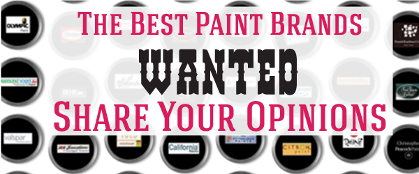 What are the best paint brands