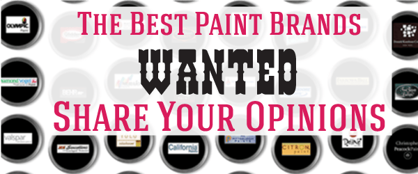 What are the best paint brands