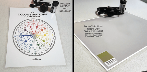 The Color Strategist Color Wheel