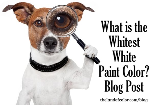 What is the Whitest White Paint Color Blog Post