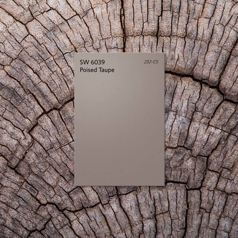 Poised Taupe Sherwin-Williams Color of the Year 2017