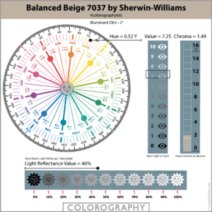 Balanced Beige 7037 Colorography
