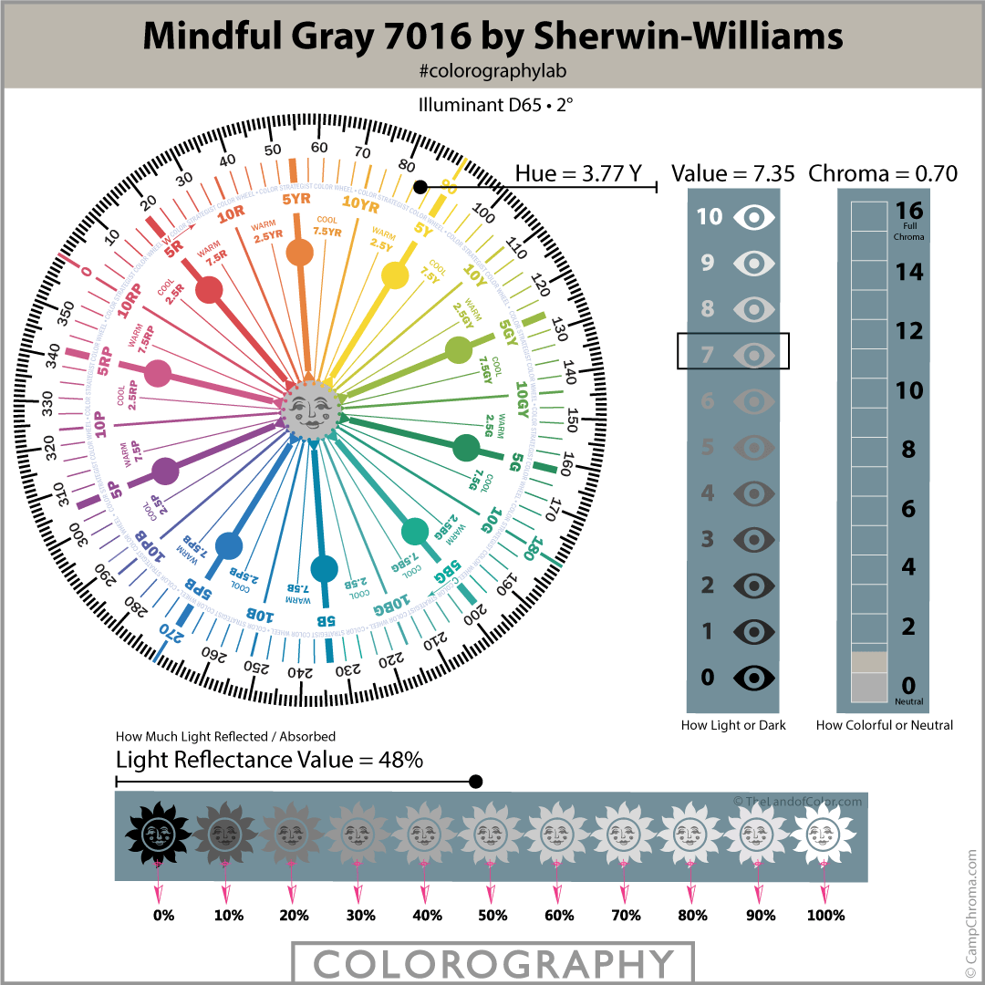 Mindful Gray 7016 Colorography