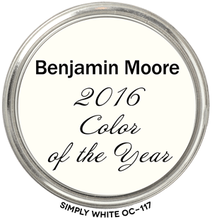 Paint Blob Simply White OC 117 2016 COTY