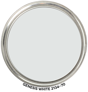 Genesis-White-2134-70 Paint Blob