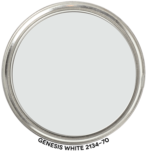 Genesis-White-2134-70 Paint Blob