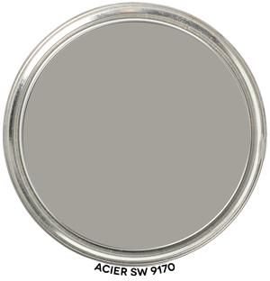 Paint Blob Acier SW 9170
