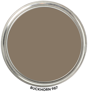 Paint Blob Buckhorn 987