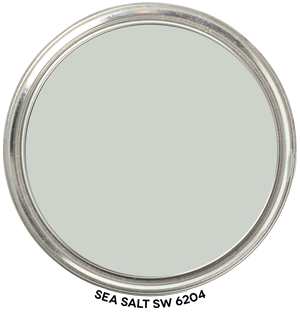 Paint Blob Sea Salt SW 6204