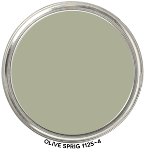 Paint Blob Olive Sprig 1125 4 PPG