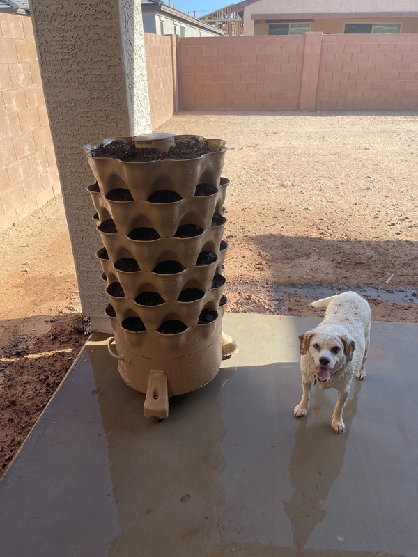 Garden Tower Warm Sandstone