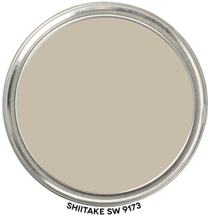 Shiitake SW 9173 Paint Blob