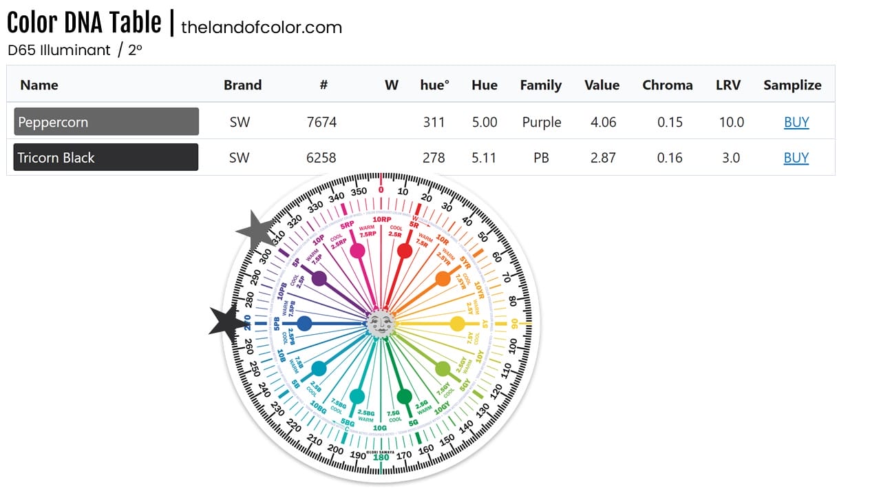 Tricorn Black And Peppercorn
