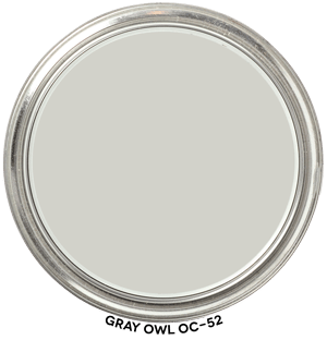 Gray Owl Paint Dollop